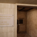 [compress-image-cyborg]IMG20250222WA0023