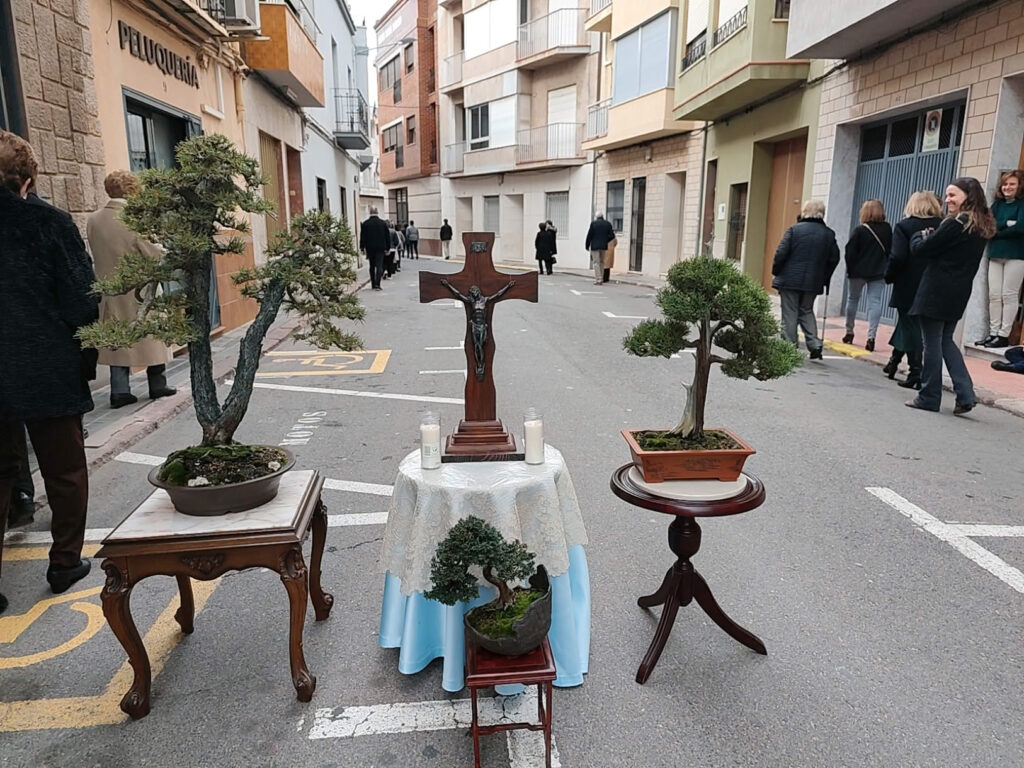 [compress-image-cyborg]DJI20250315182338182