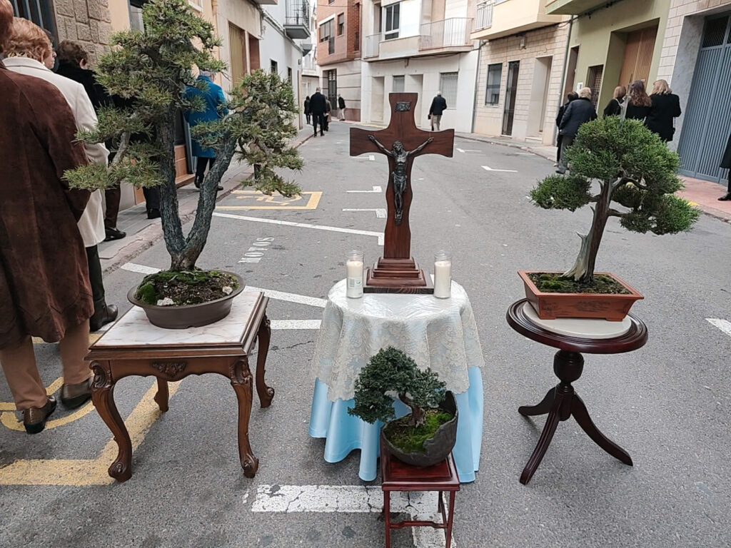 [compress-image-cyborg]DJI20250315182344183