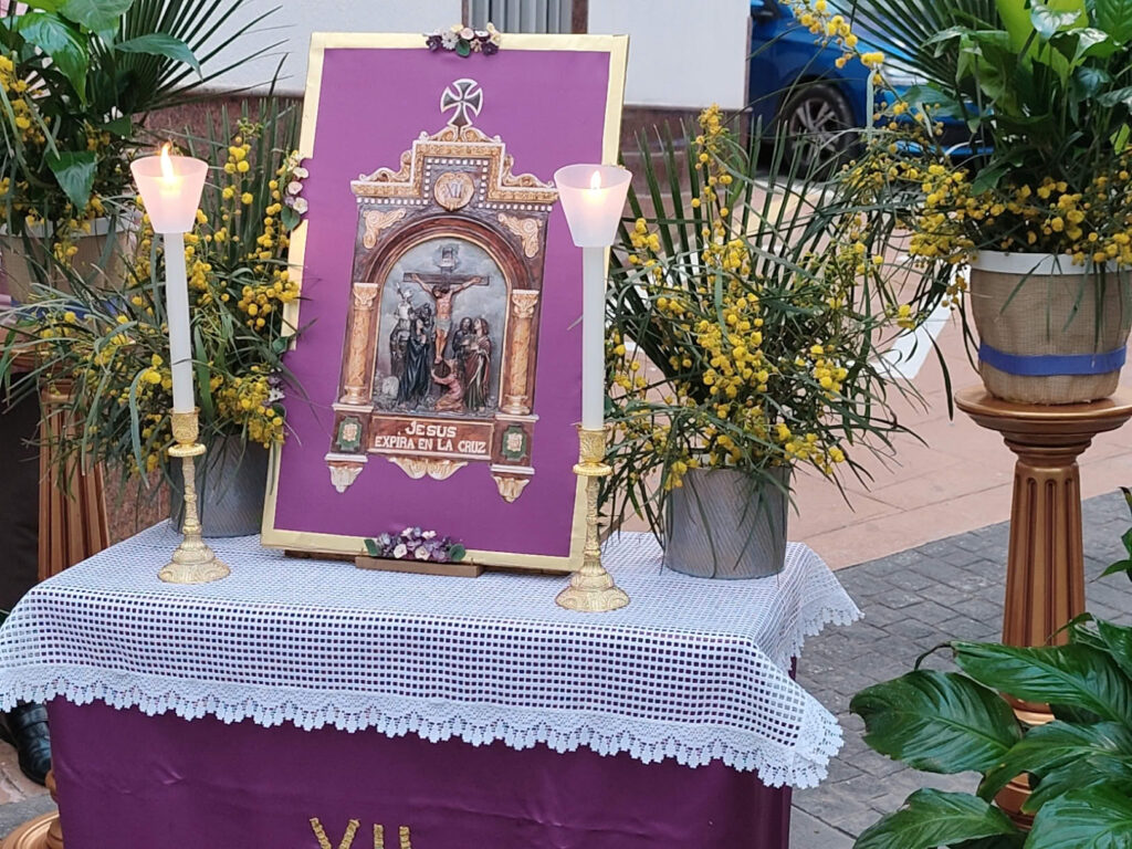 [compress-image-cyborg]DJI20250315185144229