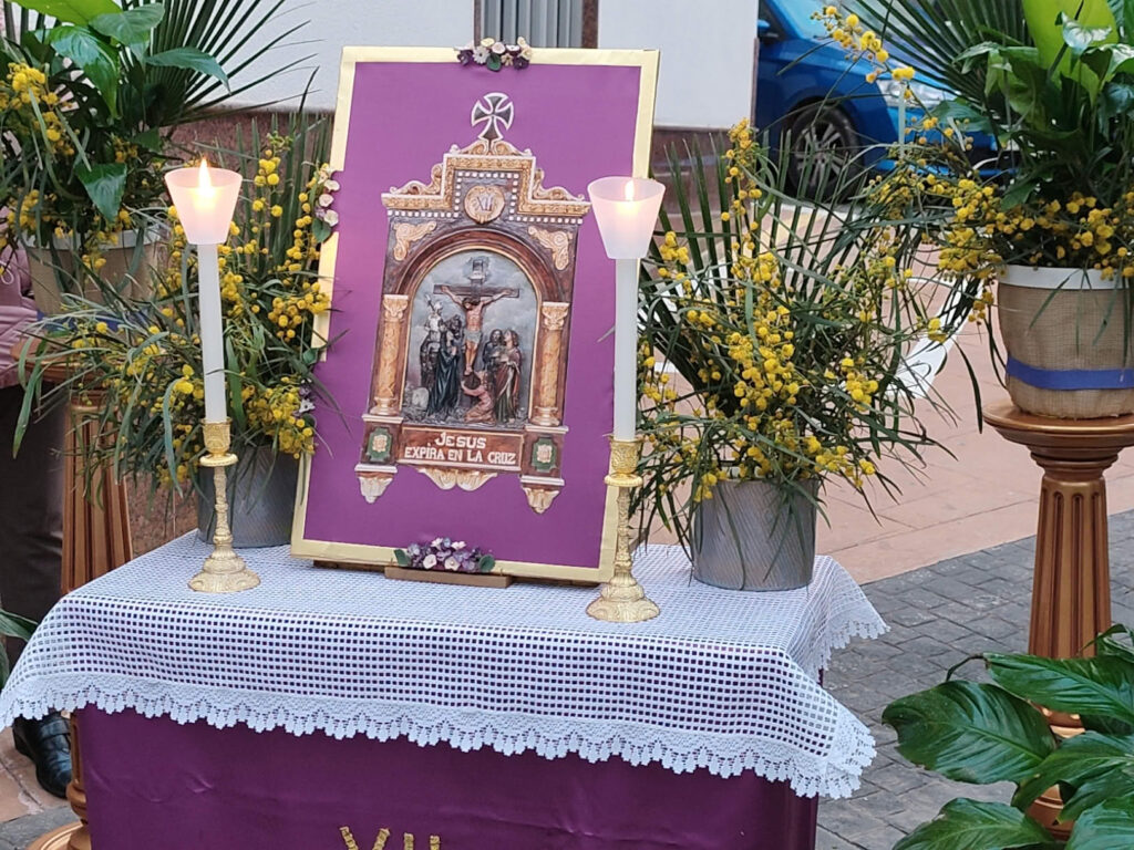 [compress-image-cyborg]DJI20250315185146230