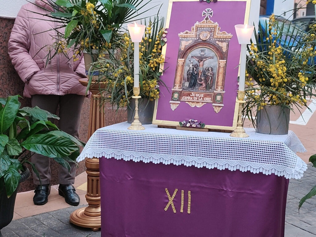 [compress-image-cyborg]DJI20250315185204232